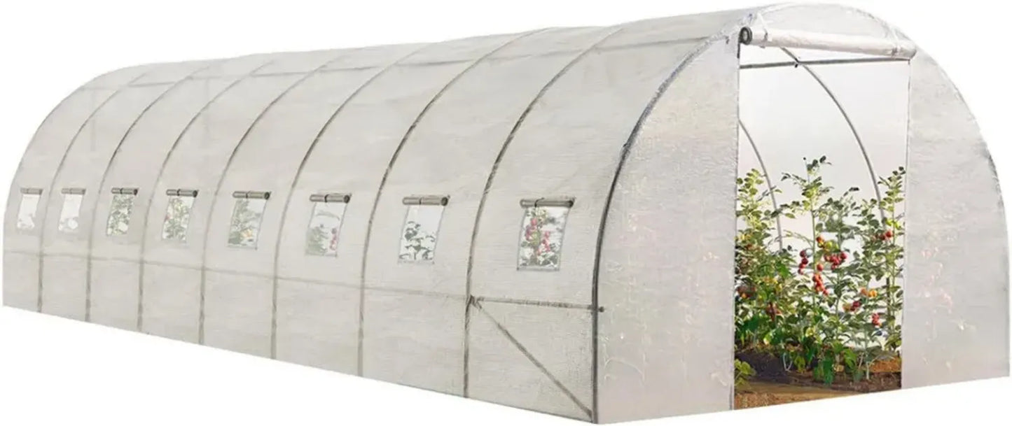 Serre de Jardin Professionnelle 24m² Blanche 8x3m pour Cultures Maraîchères